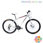 Велосипед 29" ENERGY G F/R D (Рамма 21)